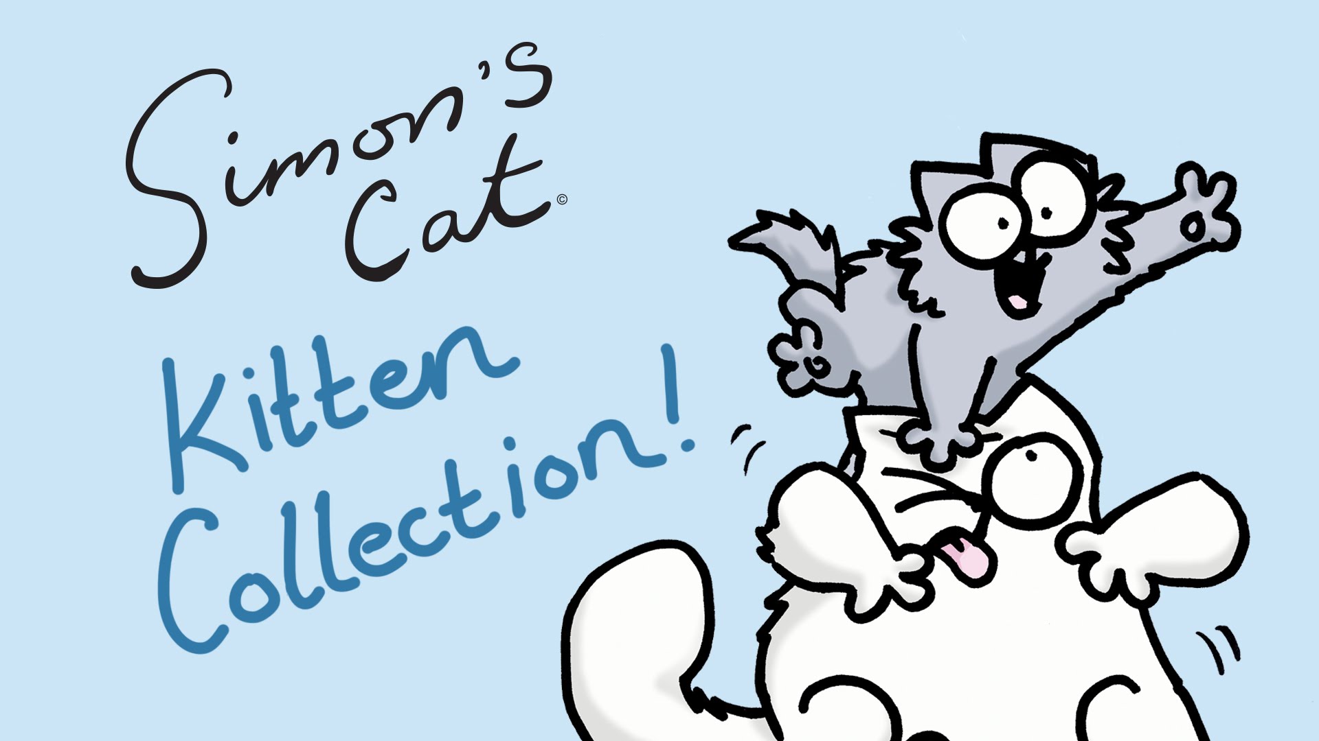 Simon S Cat Kitten Collection Life With Cats