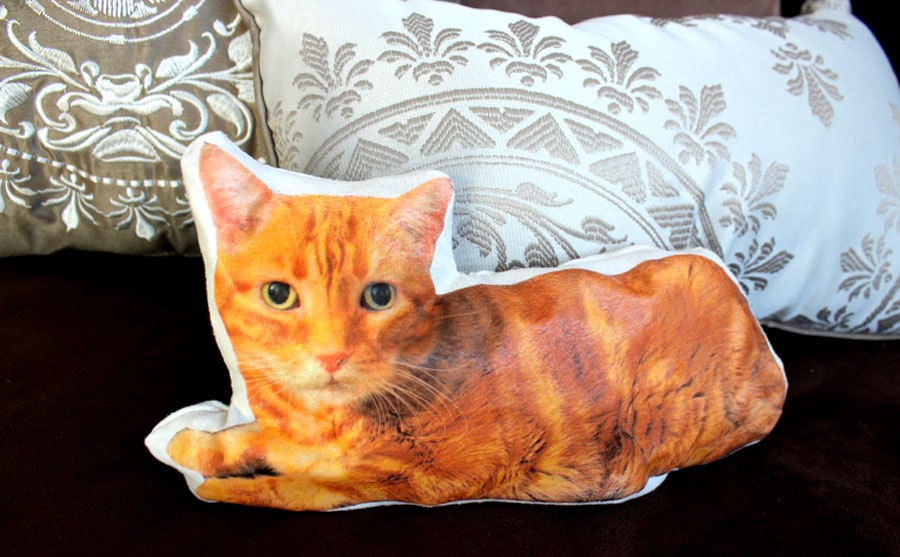 Make Your Own Custom Cat Pillow | Life With Cats
