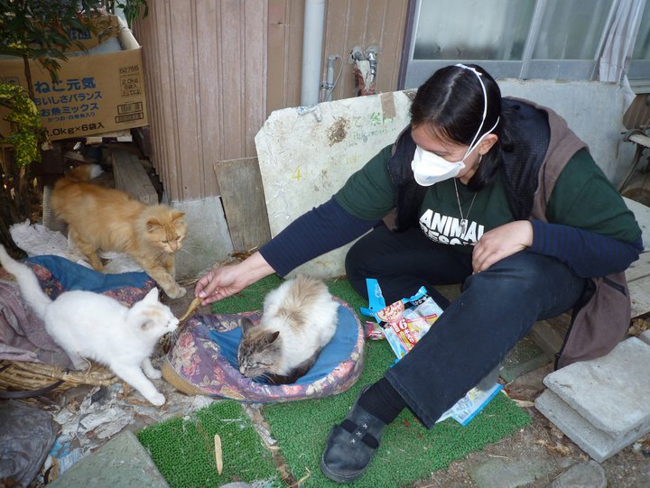 Fukushima Japan Animal Rescue Crisis: Experts to Meet in Tokyo May 2-3
