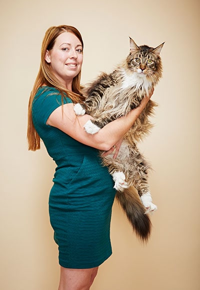Meet Ludo, the Longest Cat in the World - Life With Cats
