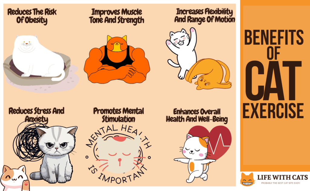 https://www.lifewithcats.tv/wp-content/uploads/2023/08/Benefits-of-cat-exercises-infographic-1024x630.png